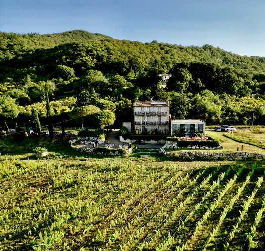 Harvest Festival 2025 in VALDONICA